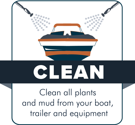 Clean: clean all plants and mud from your boat, trailer and equipment