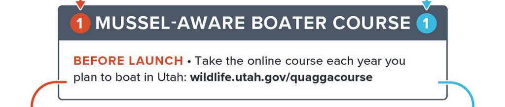 Take the online Mussel-Aware Boater Course at wildlife.utah.gov/quaggacourse.